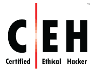 logo Certified Ethical Hacker